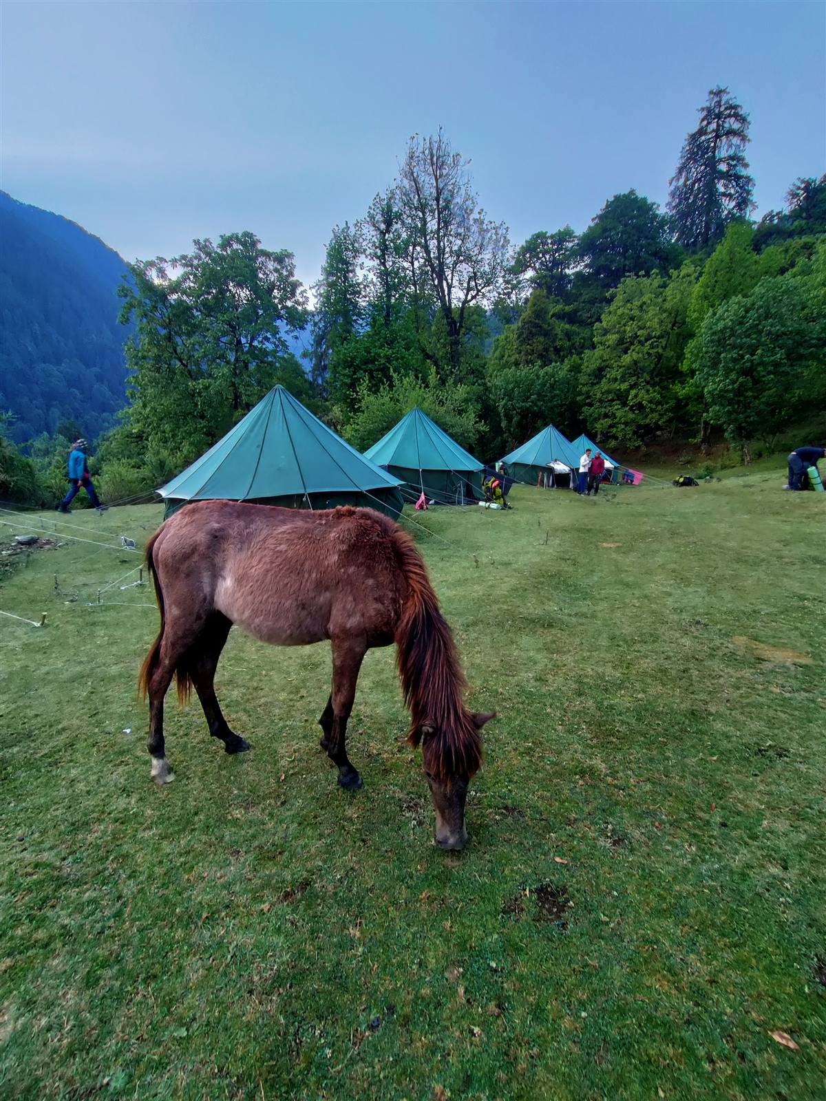 Real camp moment 3 — Himalayan camping with Himalayan Arc Adventure